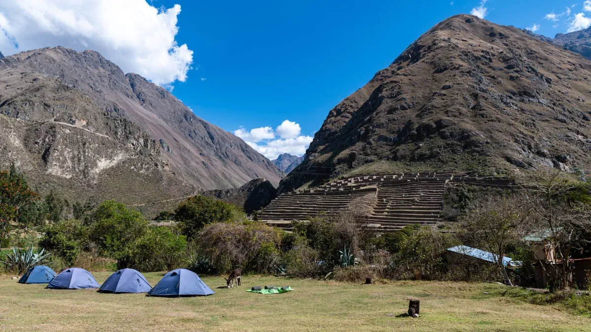 Tents at the ground camp below the Patallacta terraces on the first day, seen on an Inca Trail tour