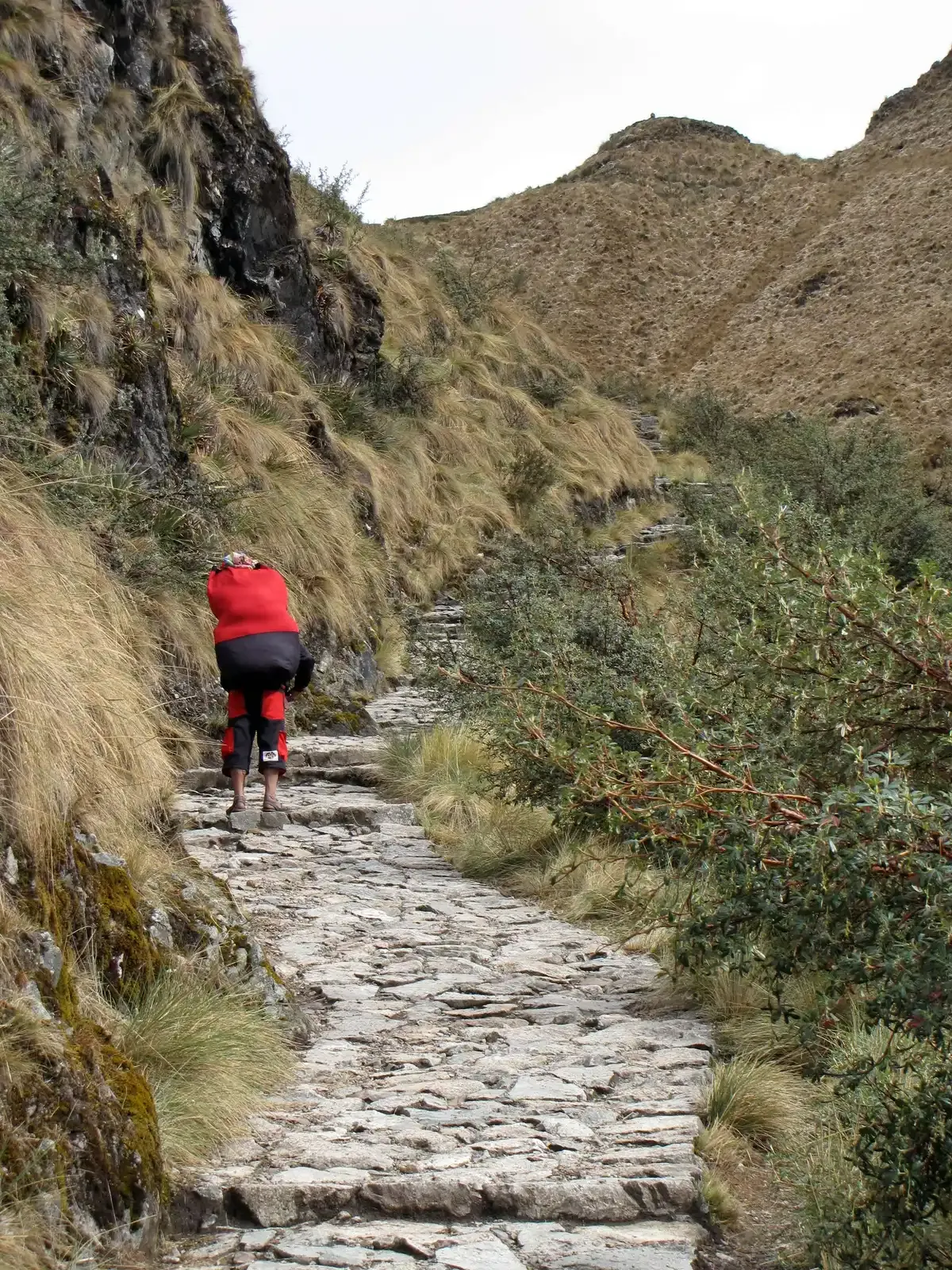 A trekker on the stone path climbing toward Dead Woman's Pass, seen on an Inca Trail trek
